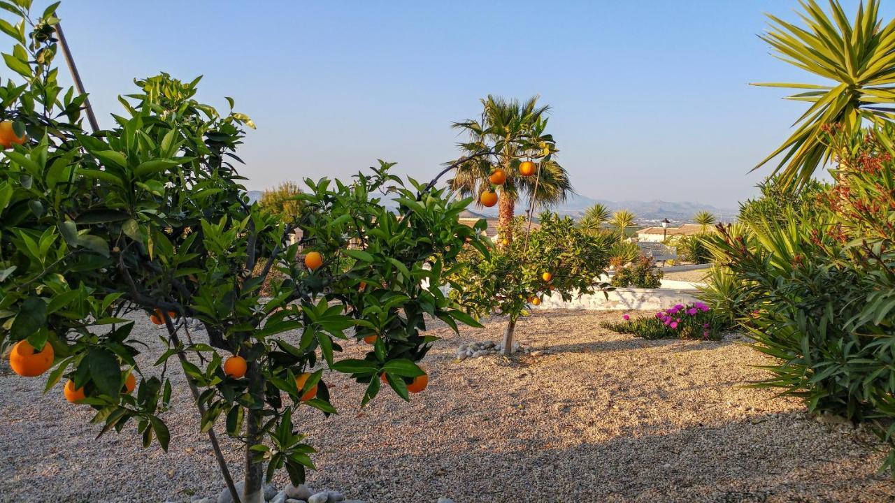 Villa Campos Del Rio ภายนอก รูปภาพ